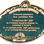 Plaque for New Caledonia Pine