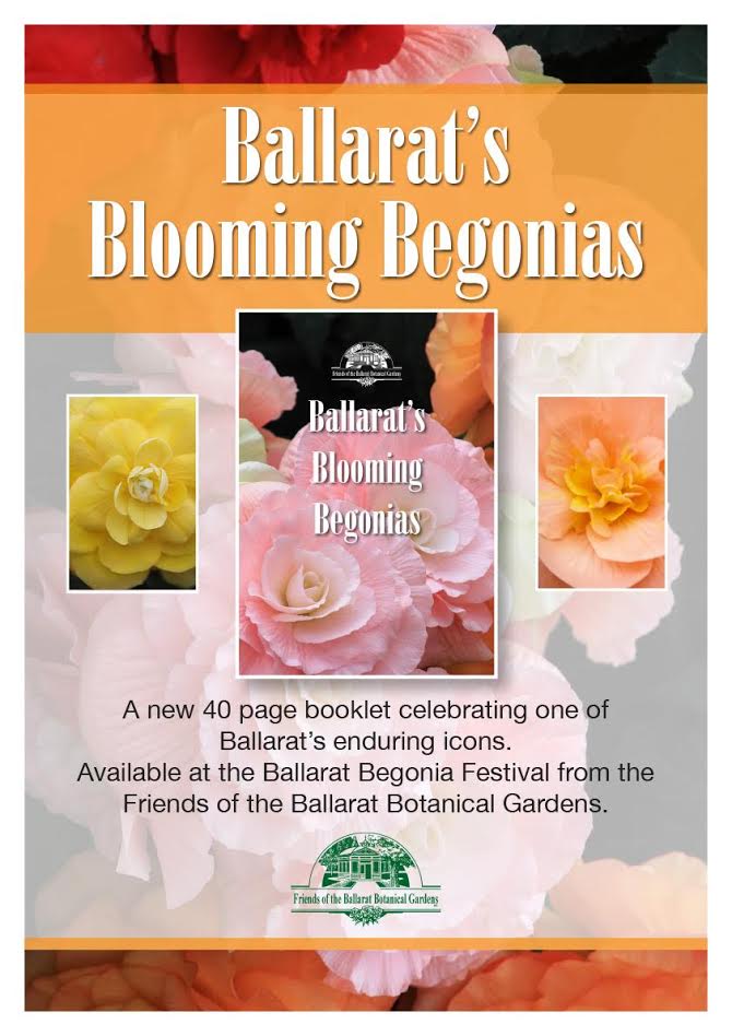 Ballarat's Blooming Begonias